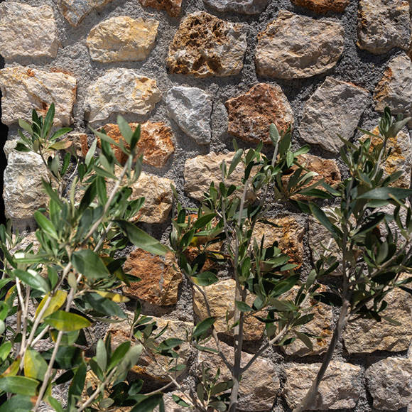 Iliada Odysseas Resort Santorini 6180